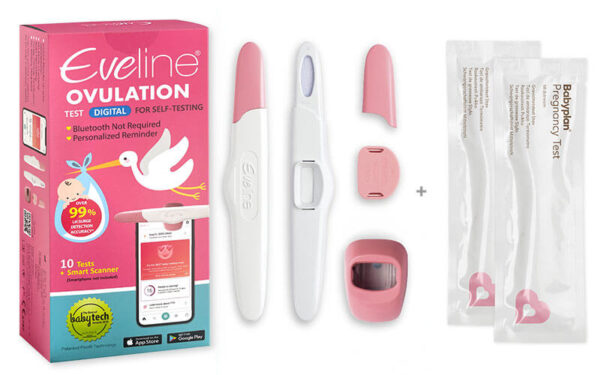 eveline-box-newsletter-2