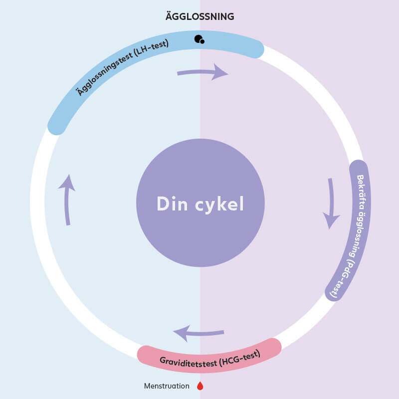 Din cykel
