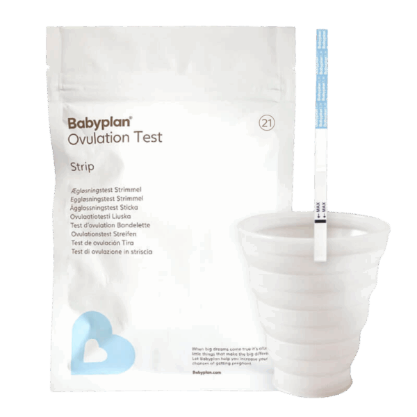 bundle--ovulation-test-silicon-cup