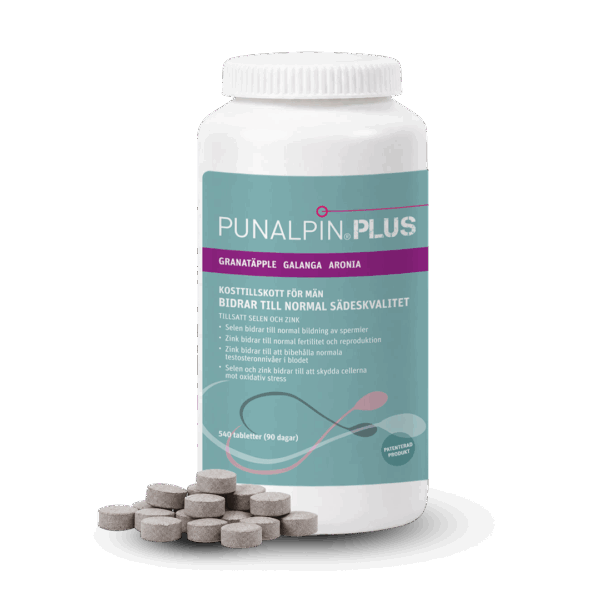 SE_PUNALPIN-PLUS-540-2026.png