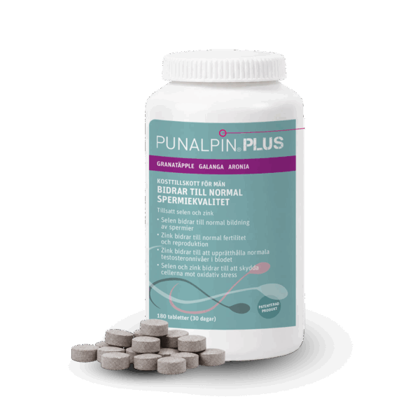 SE_PUNALPIN-PLUS-180-2026.png