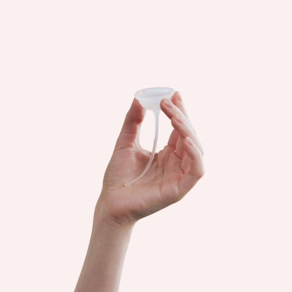 ferti-lily-gallery-1.png