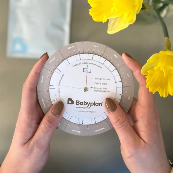 babyplan-wheel-1.webp